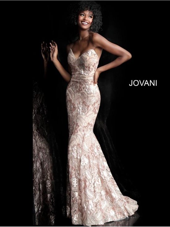 Jovani Dresses & Skirts - Jovani 67331 Champagne Lace Mermaid Gown – Size 14